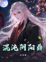 混沌阴阳鼎
