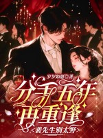 分手五年再重逢，裴先生别太野